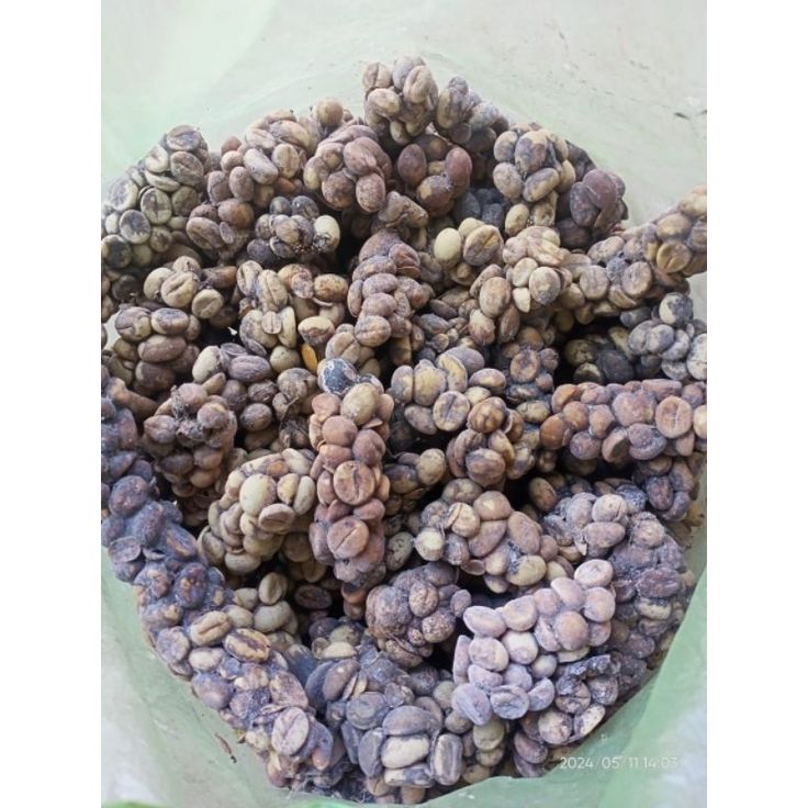 Kopi Luwak(200gr)